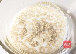 蜂蜜红薯小面包的做法图解3