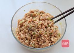 鲜肉包子(一次发酵法)的做法图解5