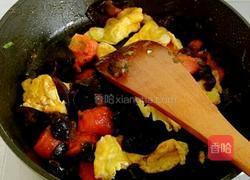 番茄鸡蛋炒木耳的做法图解12