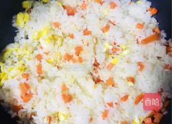 鸡胸肉烩饭的做法图解5