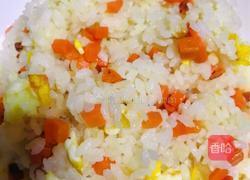 鸡胸肉烩饭的做法图解9