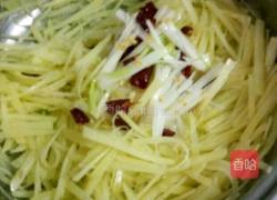 炝拌土豆丝的做法图解7