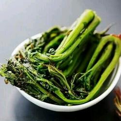 香椿小咸菜的做法[图]