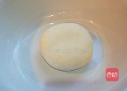 新文美食 三鲜肉饼的做法图解1