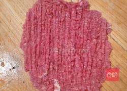 炸白萝卜肉丸子（饼）的做法图解2