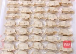 鲜虾猪肉饺的做法图解8