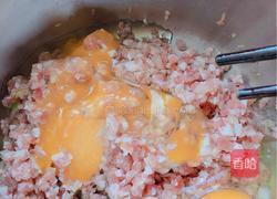 鲜虾猪肉饺的做法图解5
