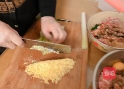荠菜猪肉饺子-火龙果面的做法图解4