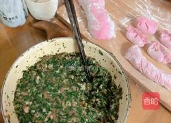 荠菜猪肉饺子-火龙果面的做法图解6