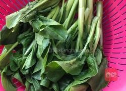 蒜蓉菜心的做法图解1