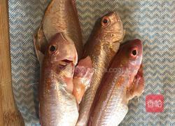 番茄煮红杉鱼的做法图解3