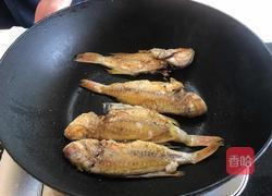 番茄煮红杉鱼的做法图解5