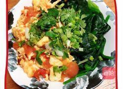 西红柿鸡蛋拌面的做法图解16