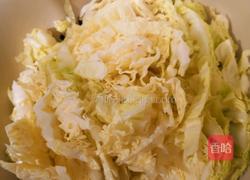 冬日暖心白菜粉丝肉的做法图解3