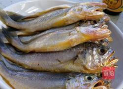 铁锅炖黄花鱼的做法图解2