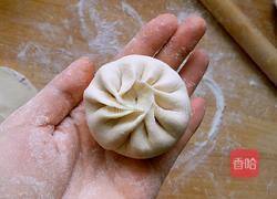 馅饼(猪肉大葱馅)的做法图解9