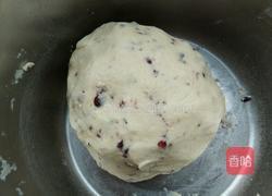 蔓越莓饼干的做法图解7