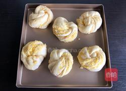 椰蓉餐包的做法图解14