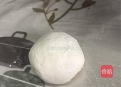 【正月十五闹元宵】之肉肉汤圆的做法图解3
