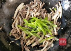 蟹味菇炒肉的做法图解15