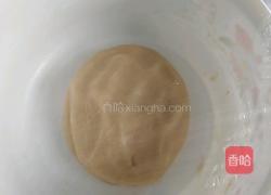 玫瑰鲜花饼的做法图解7