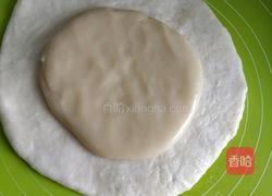 玫瑰鲜花饼的做法图解10