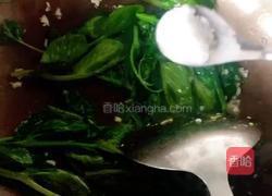 （正月十五闹元宵）豌豆尖炒鸡蛋的做法图解7