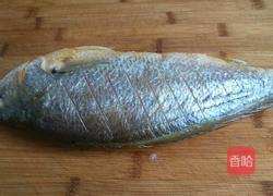 正月十五闹元宵 红烧黄花鱼的做法图解4