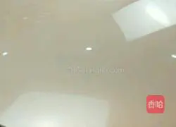 Pumpkin Pie Recipe Illustration 12