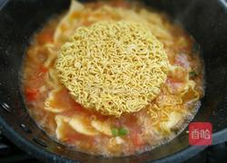 西红柿鸡蛋面的做法图解9