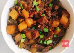 牛肉炖萝卜的做法图解8