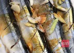 Illustration of grilled saury 5