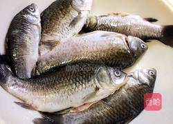 烧鲫鱼的做法图解1