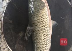 酸菜鱼的做法图解1