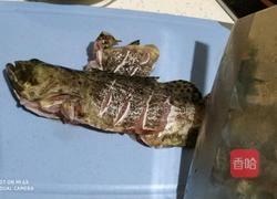 清蒸石斑鱼的做法图解2