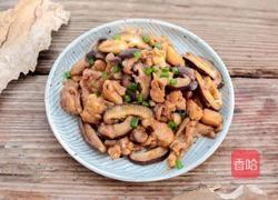 香菇滑鸡的做法图解9