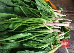 红嘴绿鹦哥的做法图解1