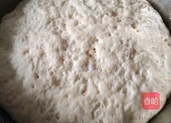 香菇油菜包的做法图解6