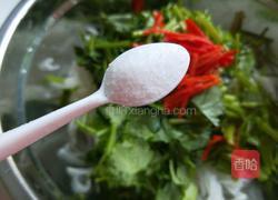 新文美食 白萝卜香辣凉拌菜的做法图解12