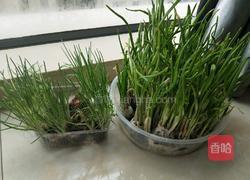 红烧老豆腐的做法图解5