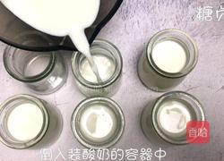 糖贞糖～自制老酸奶的做法图解5