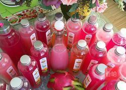 火龙果酵素的做法图解6