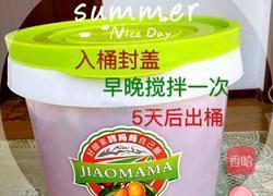 火龙果酵素的做法图解5