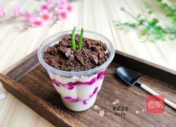 火龙果酸奶盆栽的做法图解10