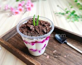 火龍果酸奶盆栽