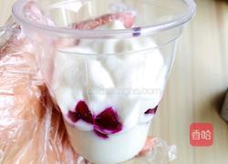 火龙果酸奶盆栽的做法图解4