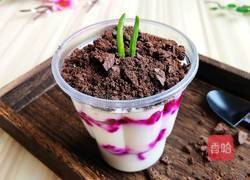 火龙果酸奶盆栽的做法图解9