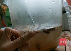 五谷豆糊糊的做法图解6