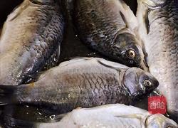 鱼罐头的做法图解3