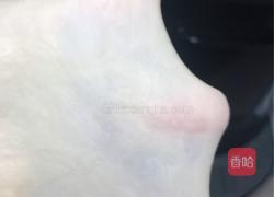 65度汤种汉堡胚的做法图解7